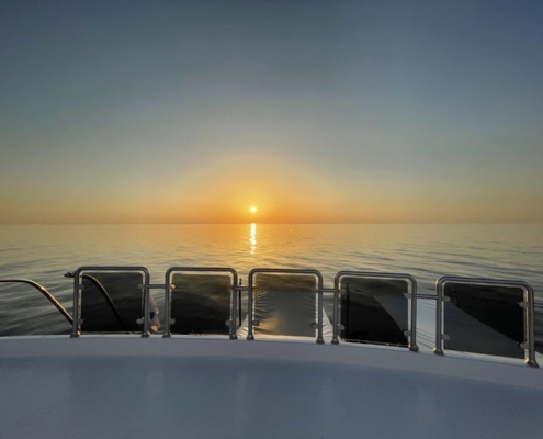 aegypten_rotes_meer_tauchsafari_spirit_omneia_tauchschiff_9