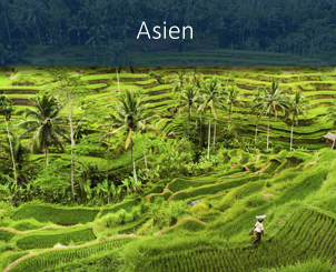 banner_angebote_asien