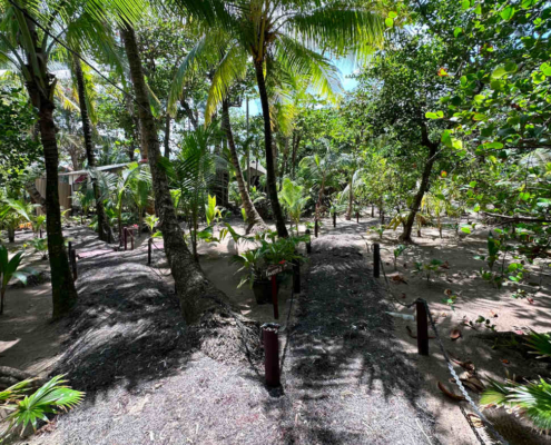 nicaragua_little_con_island_7