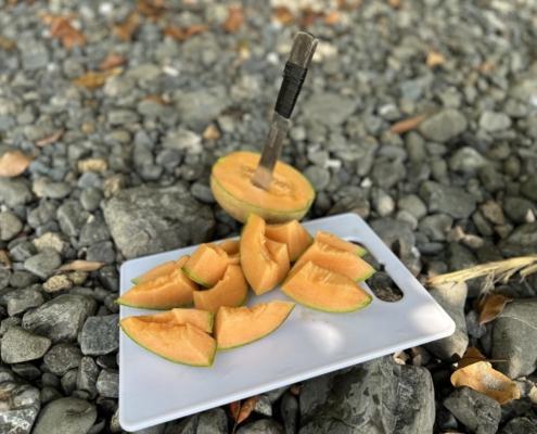nautilus_panama_santa_catalina_coiba_nationalpark_4