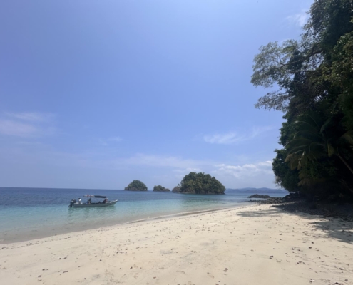nautilus_panama_santa_catalina_coiba_nationalpark_6