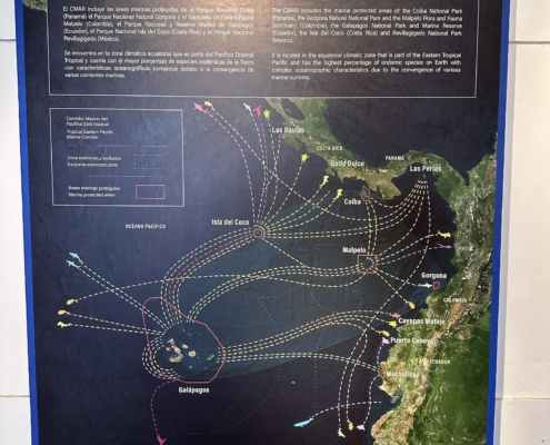 nautilus_panama_santa_catalina_coiba_nationalpark_rangers_station_5