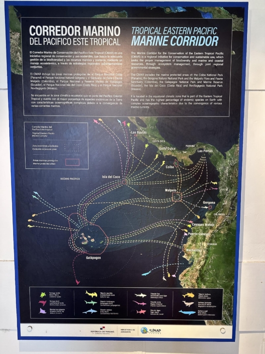 nautilus_panama_santa_catalina_coiba_nationalpark_rangers_station_5