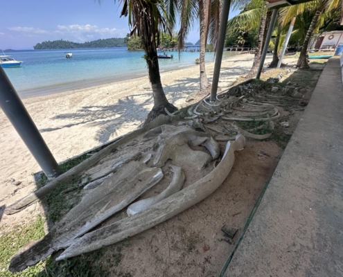 nautilus_panama_santa_catalina_coiba_nationalpark_rangers_station_6