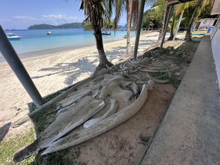 nautilus_panama_santa_catalina_coiba_nationalpark_rangers_station_6