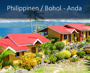 banner_nautilus_tauchreisen_philippinen_anda_sunset_dive_resort3