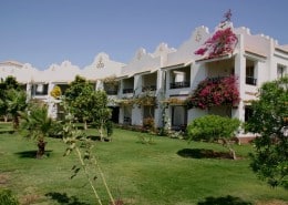 aegypten_berenice_lahami_bay_tauchen_08