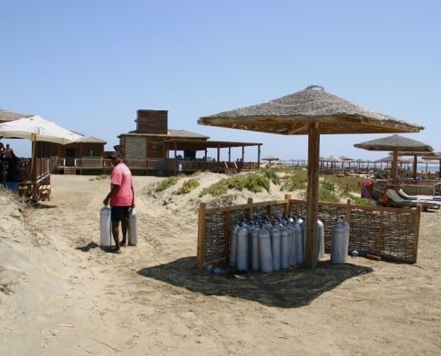 aegypten_berenice_lahami_bay_tauchen_60