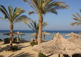 aegypten_el_qusier_flamenco_beach_tauchen_16