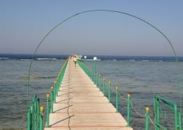 aegypten_el_qusier_flamenco_beach_tauchen_24