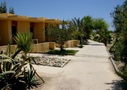 aegypten_el_qusier_mangrove_bay_tauchen_25