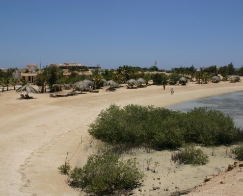 aegypten_el_qusier_mangrove_bay_tauchen_30