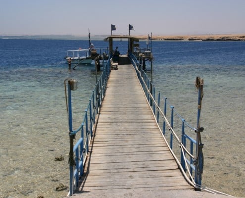 aegypten_el_qusier_mangrove_bay_tauchen_43