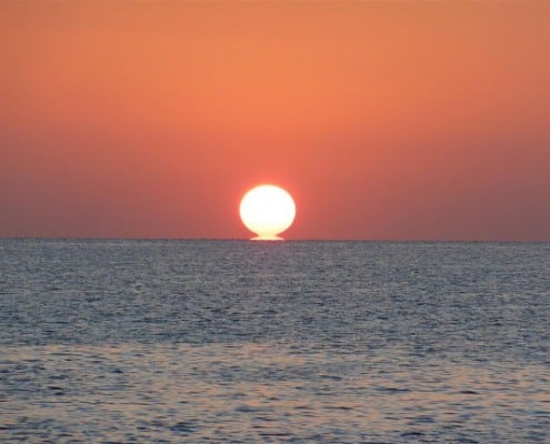 aegypten_el_qusier_mangrove_bay_tauchen_66
