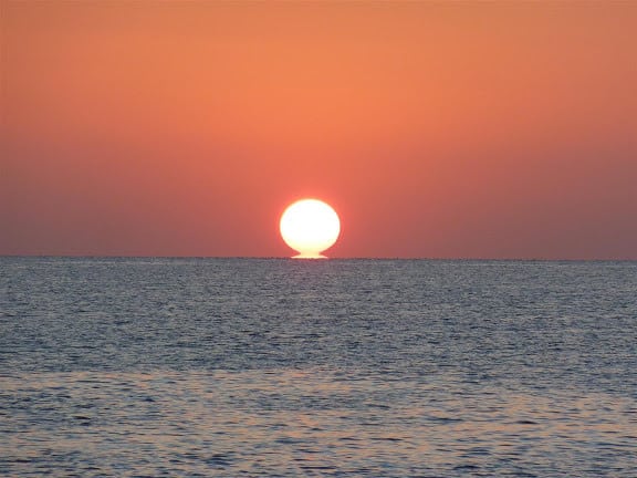 aegypten_el_qusier_mangrove_bay_tauchen_66