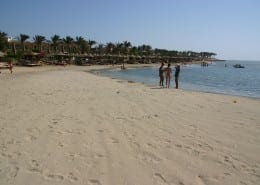 aegypten_marsa_alam_brayka_bay_tauchen_13