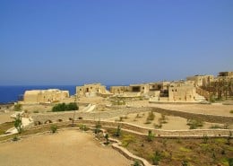 aegypten_marsa_alam_rotes_meer_the_oasis_tauchen_40