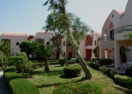 aegypten_marsa_alam_shams_alam_tauchen_27