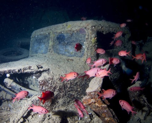 aegypten_rotes_meer_thistlegorm_tauchen_63