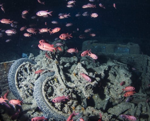 aegypten_rotes_meer_thistlegorm_tauchen_64
