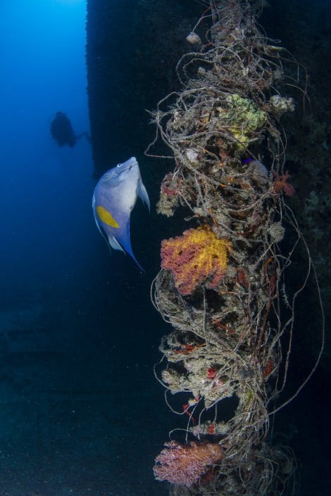 aegypten_rotes_meer_thistlegorm_tauchen_70