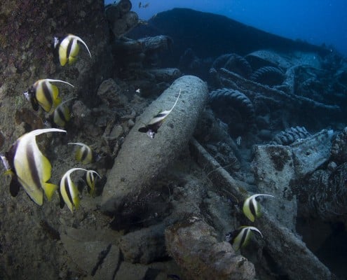 aegypten_rotes_meer_thistlegorm_tauchen_71