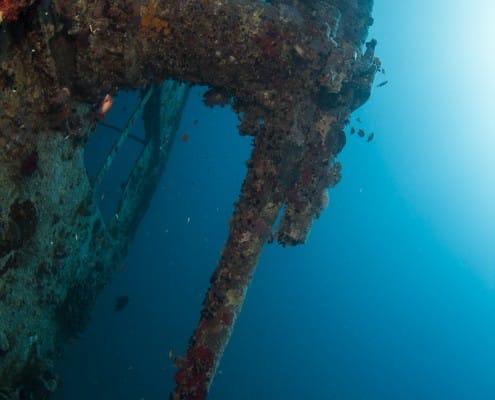 aegypten_rotes_meer_thistlegorm_tauchen_72