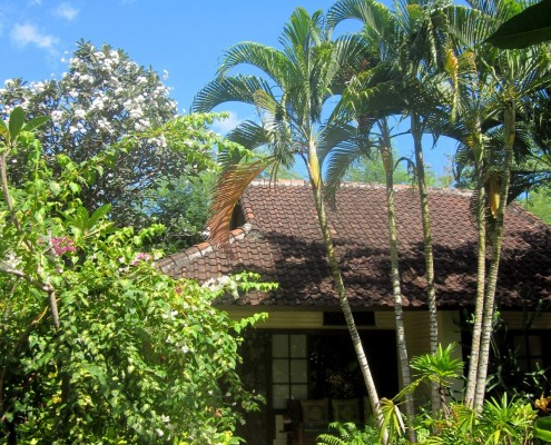 asien_bali_pemuteran_pondok_sari_tauchen_bungalow43