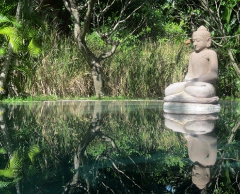 asien_bali_pemuteran_pondok_sari_tauchen_schwimmender_buddha_pool75