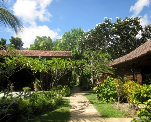asien_bali_pemuteran_pondok_sari_tauchen_tropischer_garten88