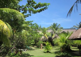 asien_philippinen_cebu_moalboal_ravenala_beach_resort_tauchen_13