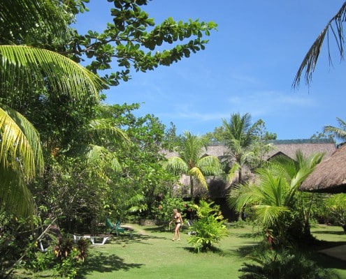 asien_philippinen_cebu_moalboal_ravenala_beach_resort_tauchen_13