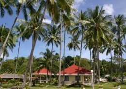 asien_philippinen_negros_sipaway_whispering_palms_tauchen_09