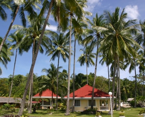 asien_philippinen_negros_sipaway_whispering_palms_tauchen_09