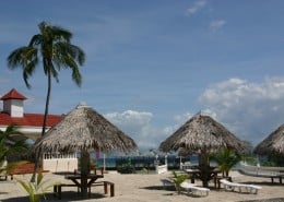 asien_philippinen_negros_sipaway_whispering_palms_tauchen_21