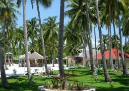asien_philippinen_negros_sipaway_whispering_palms_tauchen_42