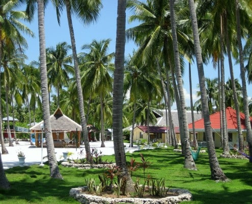 asien_philippinen_negros_sipaway_whispering_palms_tauchen_42