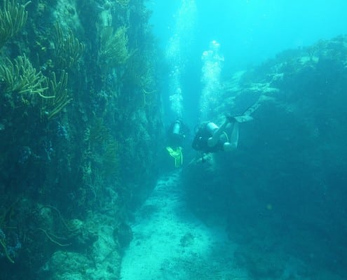 bvi_tauchen_rms_rhone_black_rock_canyon