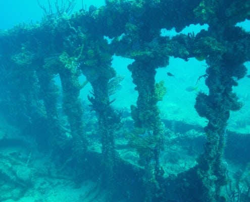 bvi_tauchen_rms_rhone_wrack_bvi_karibik