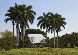 cuba_vinales_rundreise_ausflug_karibik_pinar_del_rio
