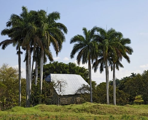 cuba_vinales_rundreise_ausflug_karibik_pinar_del_rio