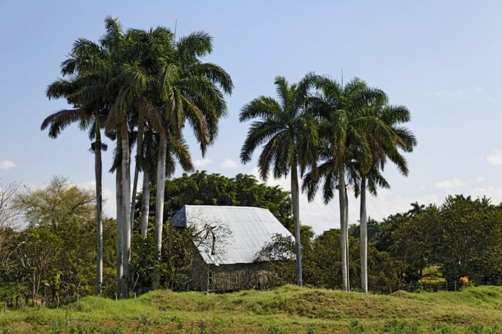 cuba_vinales_rundreise_ausflug_karibik_pinar_del_rio