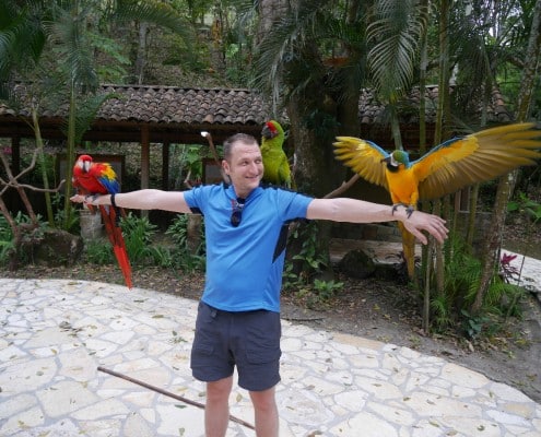honduras_copan_vogelpark