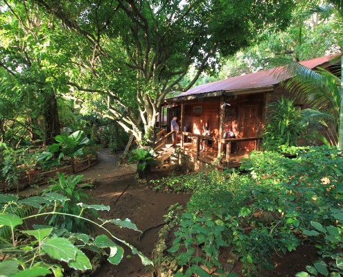 honduras_karibik_utila_mango_inn_bungalow_tauchen_20