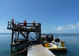 honduras_karibik_utila_mango_inn_tauchen_05