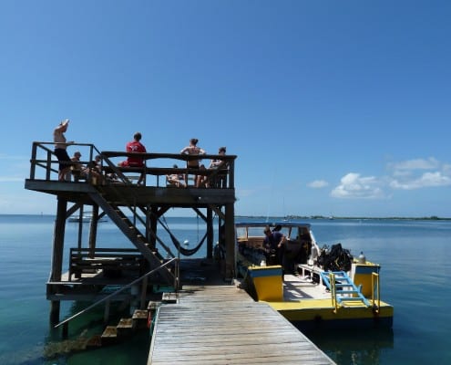 honduras_karibik_utila_mango_inn_tauchen_05