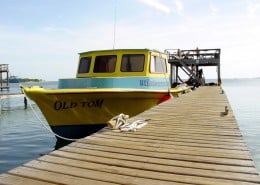 honduras_karibik_utila_mango_inn_tauchen_14