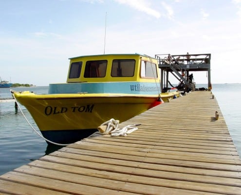 honduras_karibik_utila_mango_inn_tauchen_14
