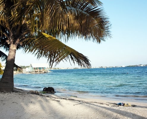 honduras_karibik_utila_tauchen_06