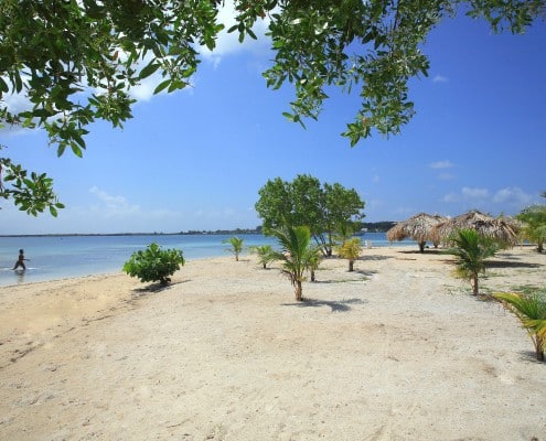 honduras_karibik_utila_tauchen_07
